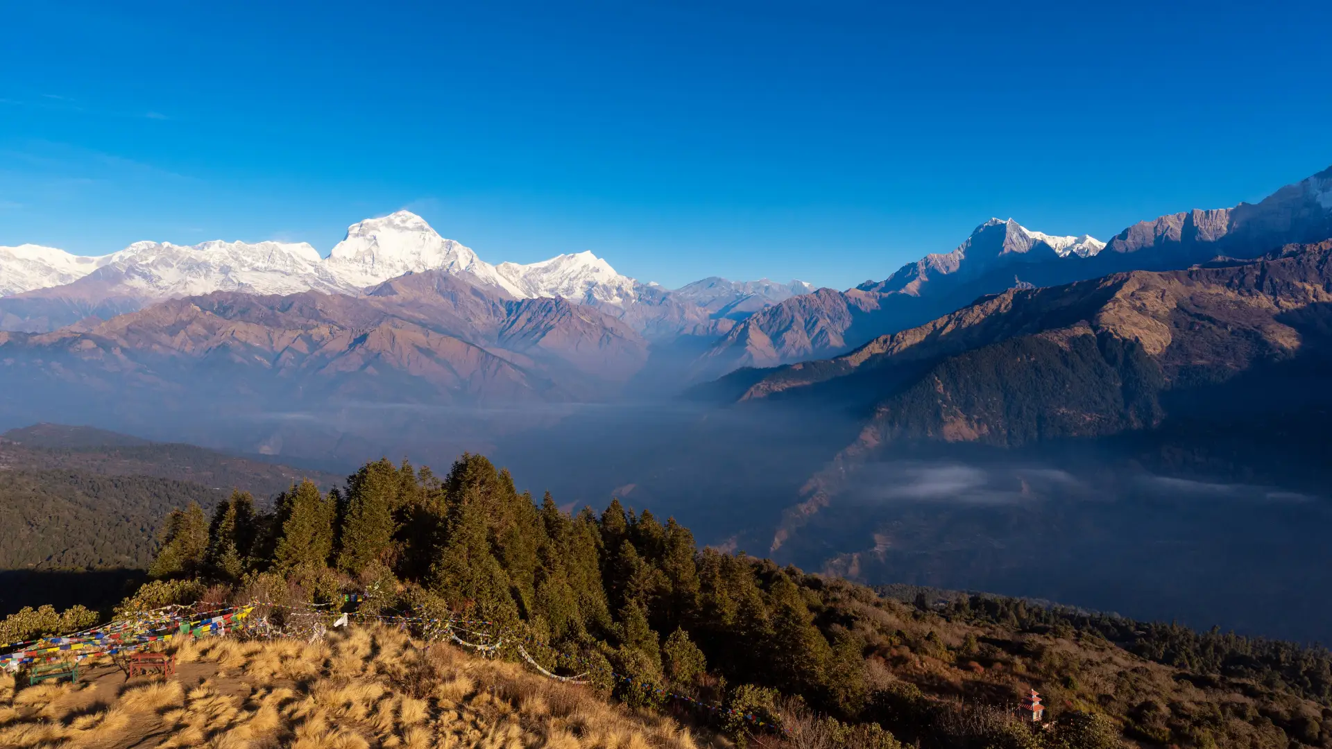 Ghorepani Poon Hill Trek